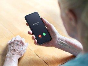 Online and phone scams have reached epidemic proportions in Canada, according to Canada's Department of Public Safety.
