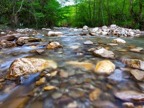 A stream is pictured in this file photo.