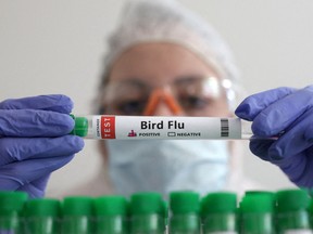 A person holds a test tube labelled "Bird Flu", in this picture illustration, January 14, 2023.
