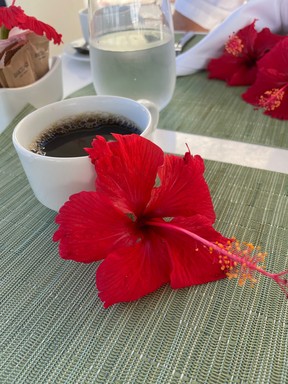 Sanctuary Cap Cana KELLY DRENNAN PHOTO