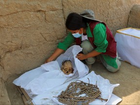 A worker wraps skeletal remains and parts of the funerary bundle of a mummy found by Peruvian archeologists in the ruins of Cajarmarquilla, in the outskirts of Lima, Peru, April 24, 2023.