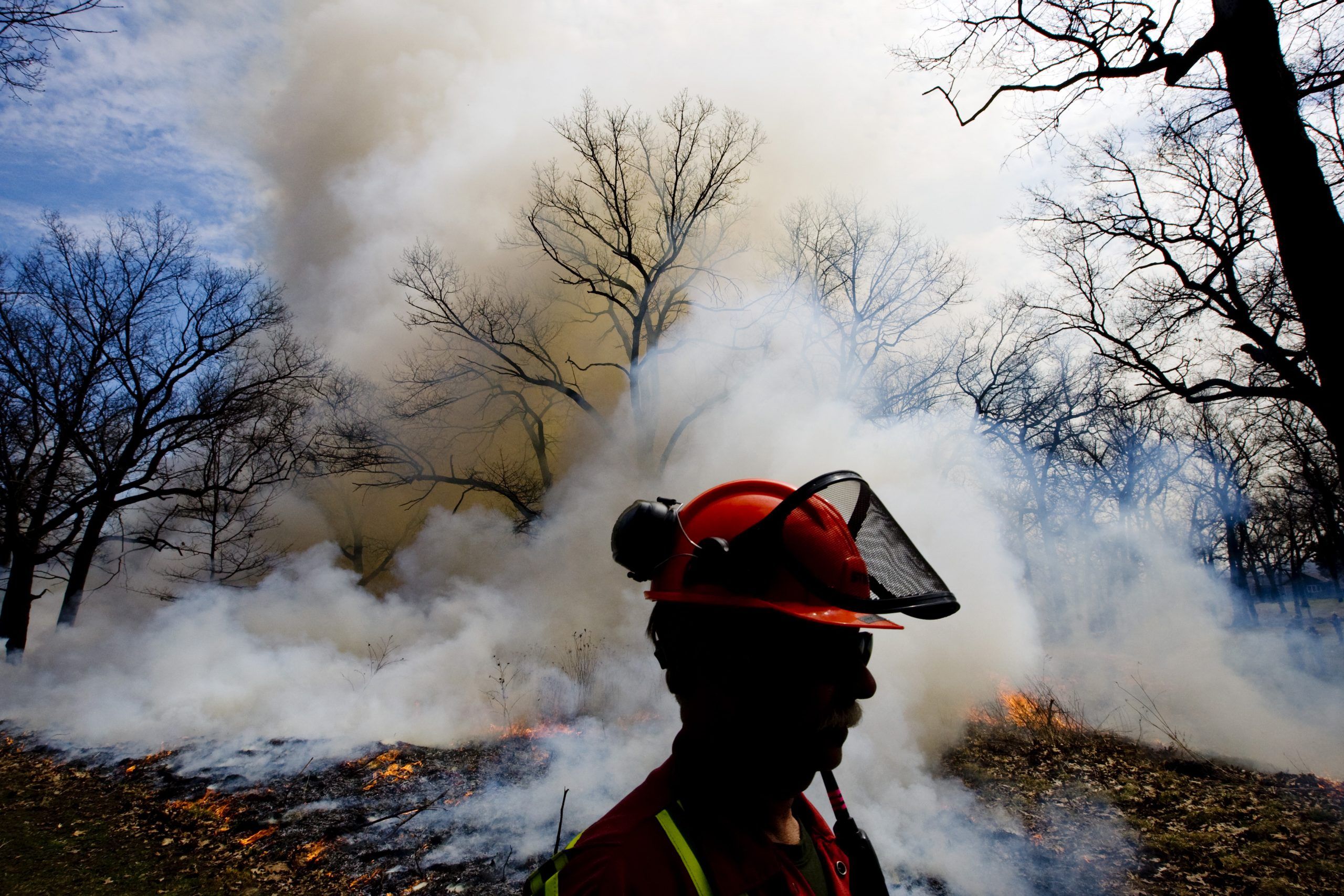 Prescribed burn happening in High Park Thursday Toronto Sun
