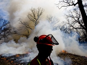 File photo of a controlled burn at High Park in Toronto, Ont., on Thursday, April 14, 2011.