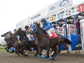 Horses exit the starting gate for the first race of the 133-day thoroughbred racing season at Woodbine Racetrack on April 22, 2023.