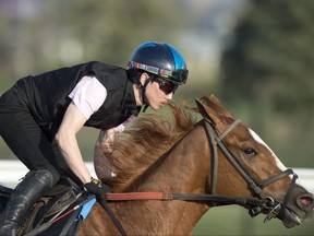 Kazushi Kimura, the top Canadian jockey of 2022, breezes a thoroughbred in preparation for April 22, the opening day of Woodbine’s 133-day 2023 thoroughbred race meet.
