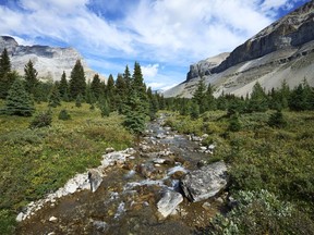 A stream from Hidden Lake in Banff National Park where researchers are reintroducing the native cutthroat trout near Lake Louise on Friday, Sept 1, 2022.