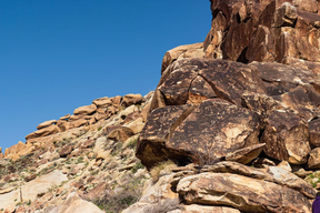 Petroglyphs in Grapevine Canyon in Avi Kwa Ame National Monument. (Megan Tait for Friends of Nevada Wilderness)