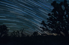 A time lapse of the stars above Wee Thump Joshua Tree Wilderness, in Avi Kwa Ame National Monument in Nevada. (Kurt Kuznicki for Friends of Nevada Wilderness)