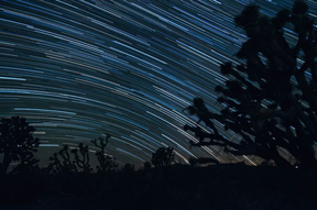 A time lapse of the stars above Wee Thump Joshua Tree Wilderness, in Avi Kwa Ame National Monument in Nevada. (Kurt Kuznicki for Friends of Nevada Wilderness)