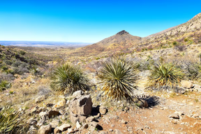 The Franklin Mountains are part of the Chihuahuan Desert, and the state park is one of the largest urban parks in the United States. (John Coletti/Getty Images)