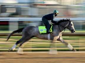Rocket Can runs on the track during the morning training for the Kentucky Derby at Churchill Downs on May 04, 2023 in Louisville, Kentucky.