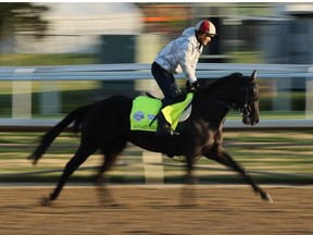 Mandarin Hero during the morning training for the Kentucky Derby at Churchill Downs on May 04, 2023 in Louisville, Kentucky.