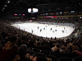 Fani oglądają Arizona Coyotes i Winnipeg Jets podczas meczu na Mullett Arena w Tempe w Arizonie, piątek, 28 października 2022 r.