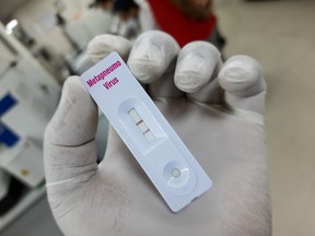 Rapid screening test for metapneumovirus