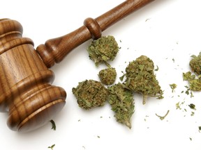 Marijuana and a gavel together for legal concept.