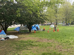 The growing homeless encampment at Allan Gardens.