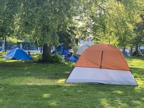 Tents take up much of Allan Gardens
