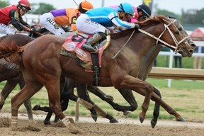 Mage races during the Kentucky Derby. ANDY LYONS/GETTY IMAGES