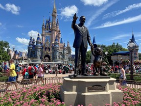 Disney's Magic Kingdom theme park is pictured in a file photo