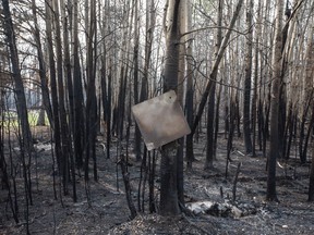 A burnt metal sign hangs from a tree, damaged by recent wildfires, in Drayton Valley Alta.