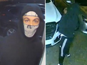Toronto Police are looking for two suspects after the attempted theft of a vehicle from a homeowner's driveway.