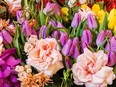 Variety of fresh florals.