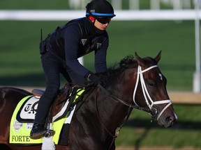 Forte trains on the track during morning workouts for the 149th running of the Kentucky Derby at Churchill Downs on May 5, 2023 in Louisville, Ky.