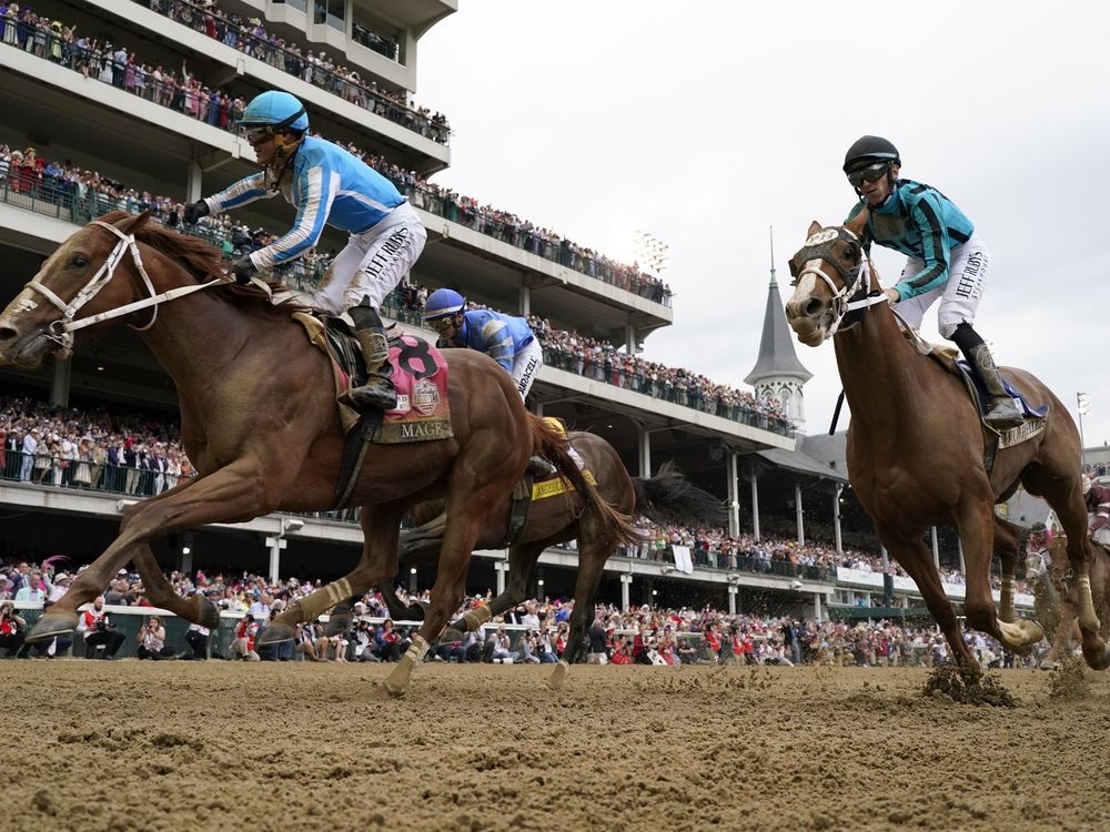 Kentucky Derby winner Mage will run in the Preakness at Pimlico on May