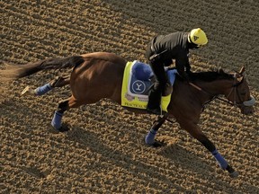 Kentucky Derby entrant Practical Move works out at Churchill Downs Thursday, May 4, 2023, in Louisville, Ky. The 149th running of the Kentucky Derby is scheduled for Saturday, May 6.