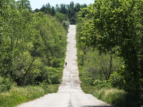 A hiker walks along a road between two trail heads at the Rouge Urban National Park, in Toronto, Tuesday, June 15, 2021.