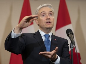 Innovation, Science and Industry Minister Francois-Philippe Champagne gestures as he responds to a question during a media availability, Tuesday, May 16, 2023 in Seoul, South Korea.