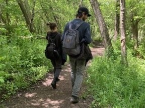 People walk on a forest path.