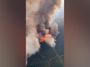 Forest fire burns