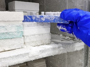 Scientist's hand with blue gloves taking frozen clinical samples.