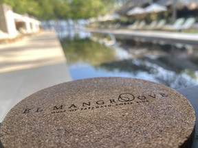 The 130-foot-long pool at Hotel Mangroove blends effortlessly with the natural setting of the property. IAN SHANTZ/TORONTO SUN