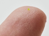 The smallest bag in the world sold for $ 63 thousand! Microscopic