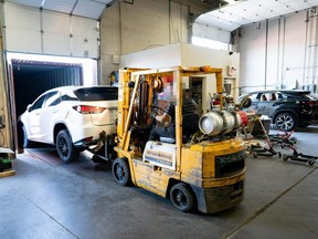 York Regional Police seized 161 stolen vehicles during a month-long investigation.
