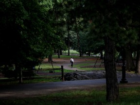 A person walks through Central Park in New York City