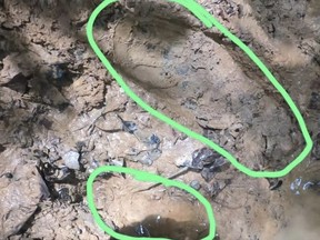 A handout photo distributed by the Colombian Army on May 30, 2023, shows a girl's footprint (bottom) spotted in the forest