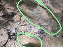 A handout photo distributed by the Colombian Army on May 30, 2023, shows a girl's footprint (bottom) spotted in the forest in a border region between the departments of Caqueta and Guaviare, Colombia, and compared to a military boot print (top). 