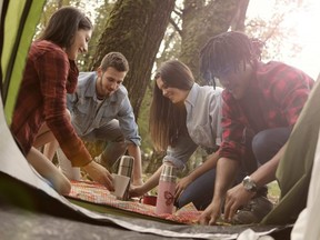 Two couples enjoy a picnic outdoors