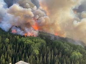 A wildfire burns in a forest near the town of Cochrane
