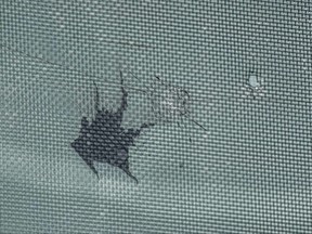 A bullet hole is seen here in the window