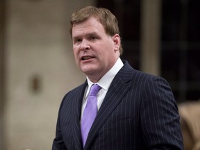 Foreign Affairs Minister John Baird responds to a question during question period in the House of Commons on Parliament Hill in Ottawa on Thursday, January 29, 2015.