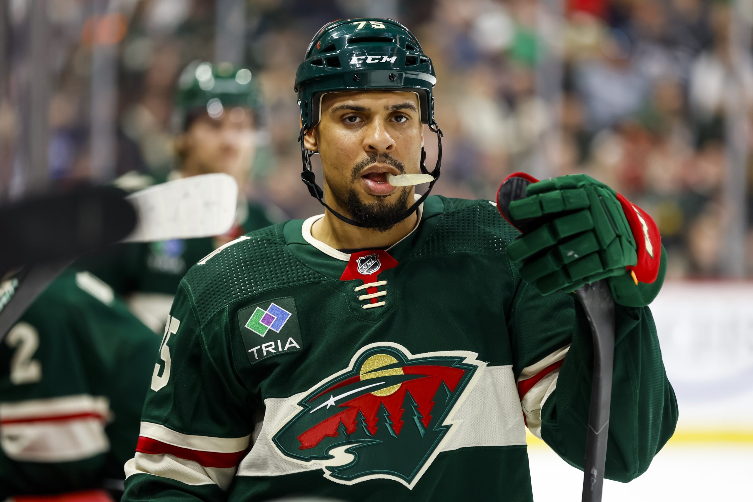 Ryan Reaves calls out former NHL player for a boxing match