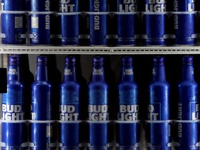 Bottles of Bud Light sit in a cooler.