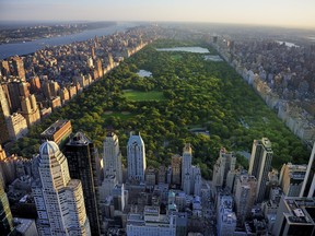 Central Park aerial view