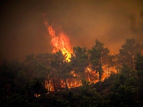 pine trees burning in a wildfire on the Greek island of Rhodes