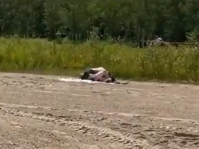 Couple filmed having what appears to be sex on beach