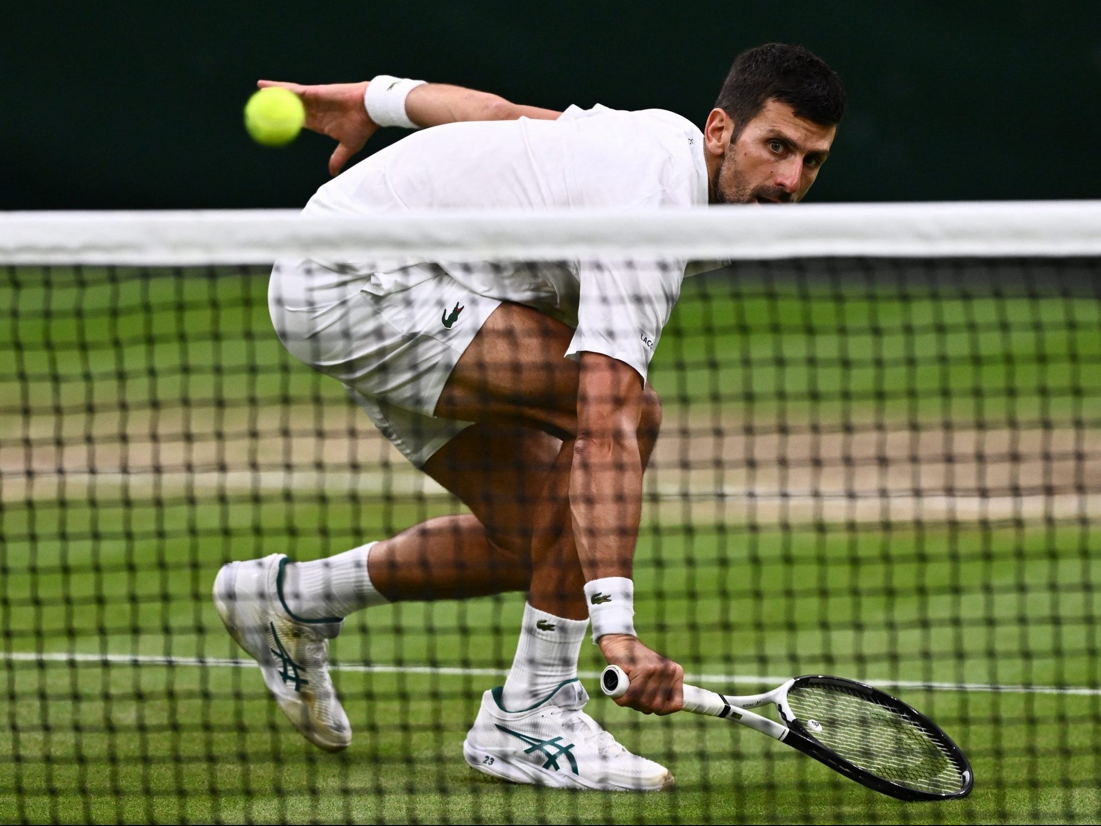 Wimbledon 2023: Alcaraz gets top seed; Djokovic seeks 8th title at All  England Club